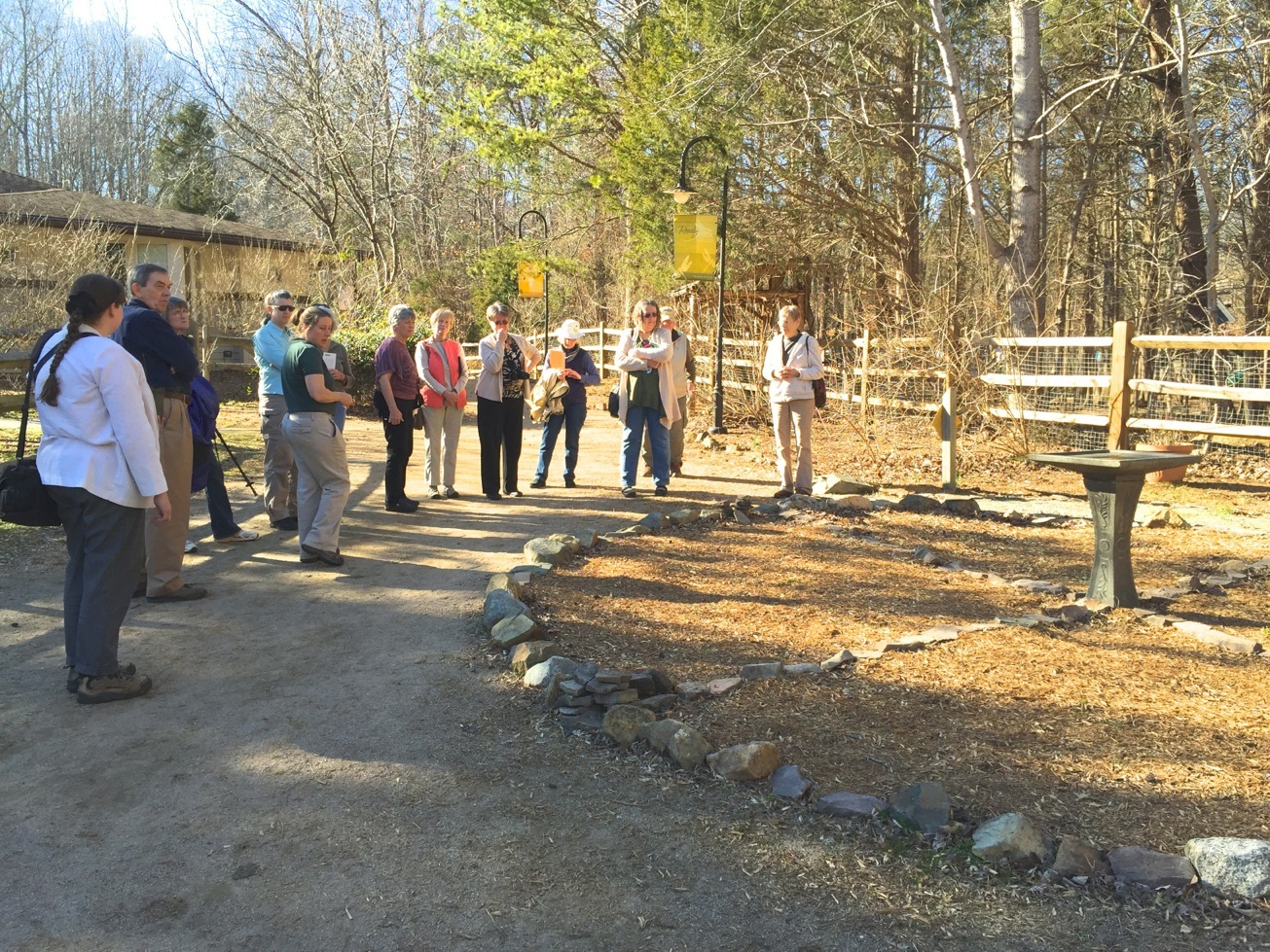 medicine wheel garden