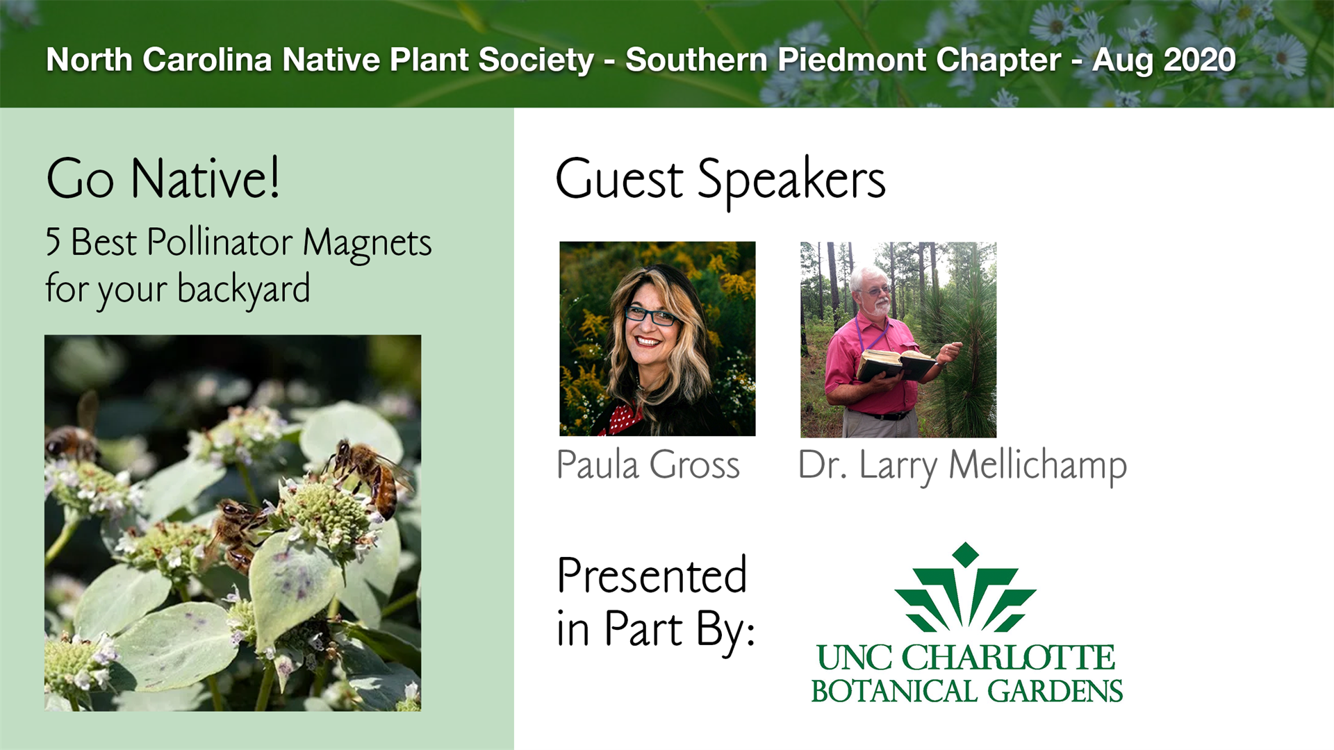 Planning Native Plant Garden