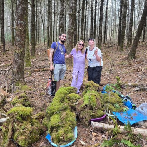 Moss Garden installation at Gorges State Park workday