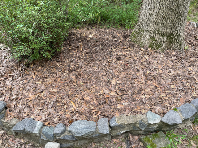 Stiltgrass Removed!