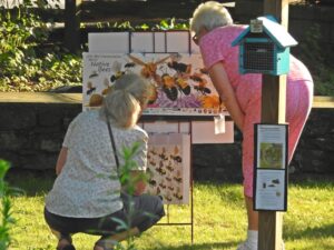 Native Bee Poster