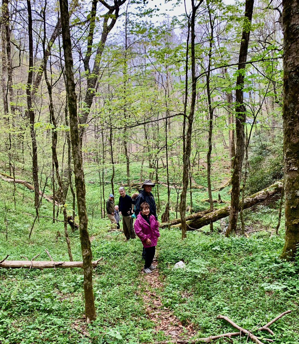 A fun group of hikers at Beech Flats