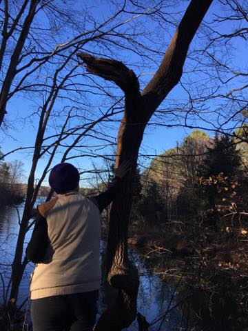 View of Black Creek