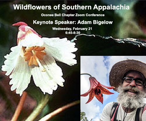 ABigelow 21 Feb 2024 Zoom talk Wildflowers of Southern Appalachia