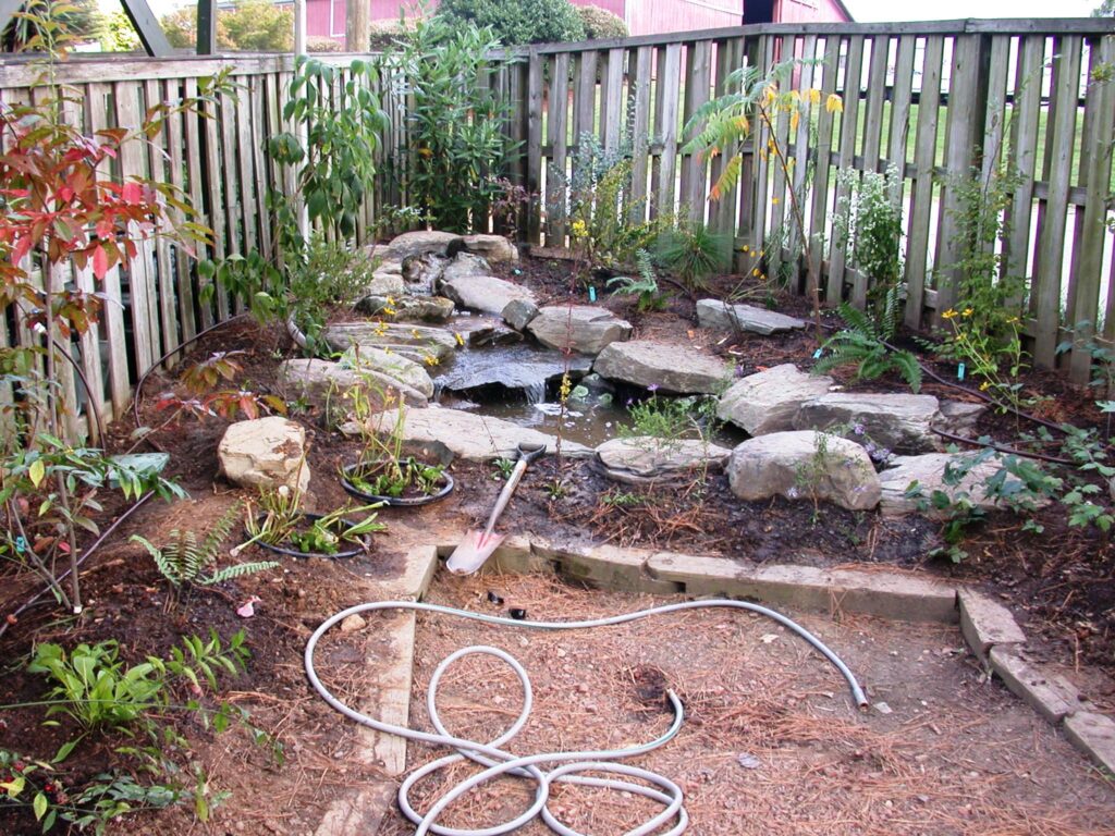 Our beautiful native garden!