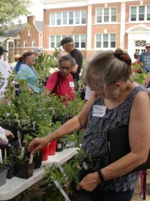 NCNPS members happily shopping for plants