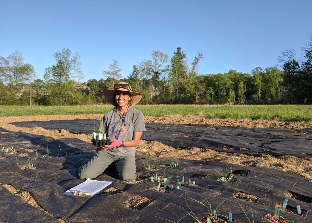 Anita Simha at her experimental plot