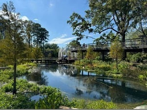 Cary-Downtown-Park