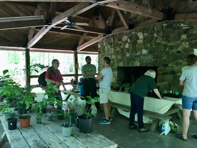 Plant swap