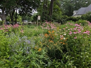 DiLillo home garden tour June 2 2026