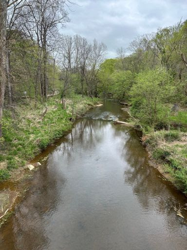 Eno-River-Walk