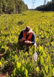 Greg Wilson in the field