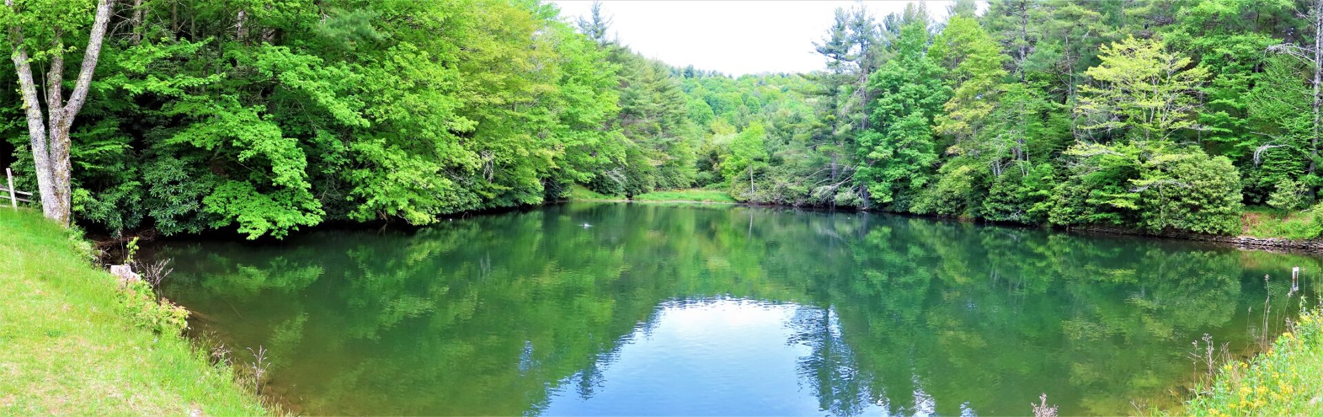 Heart Pond above Bass Lake