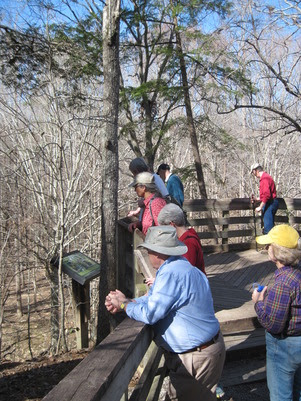 Hemlock Bluffs