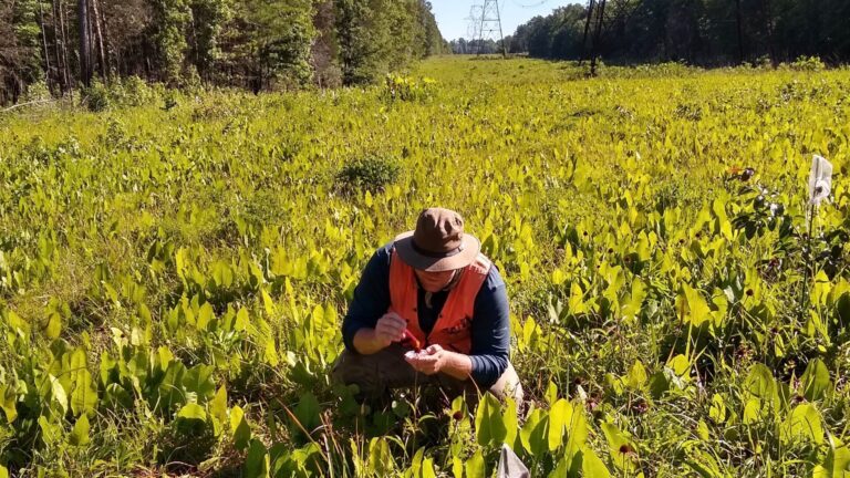 Student conducting field research