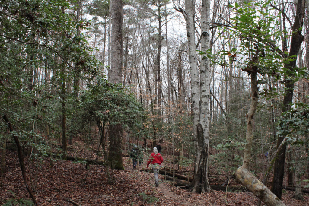 Forest Ridge Park