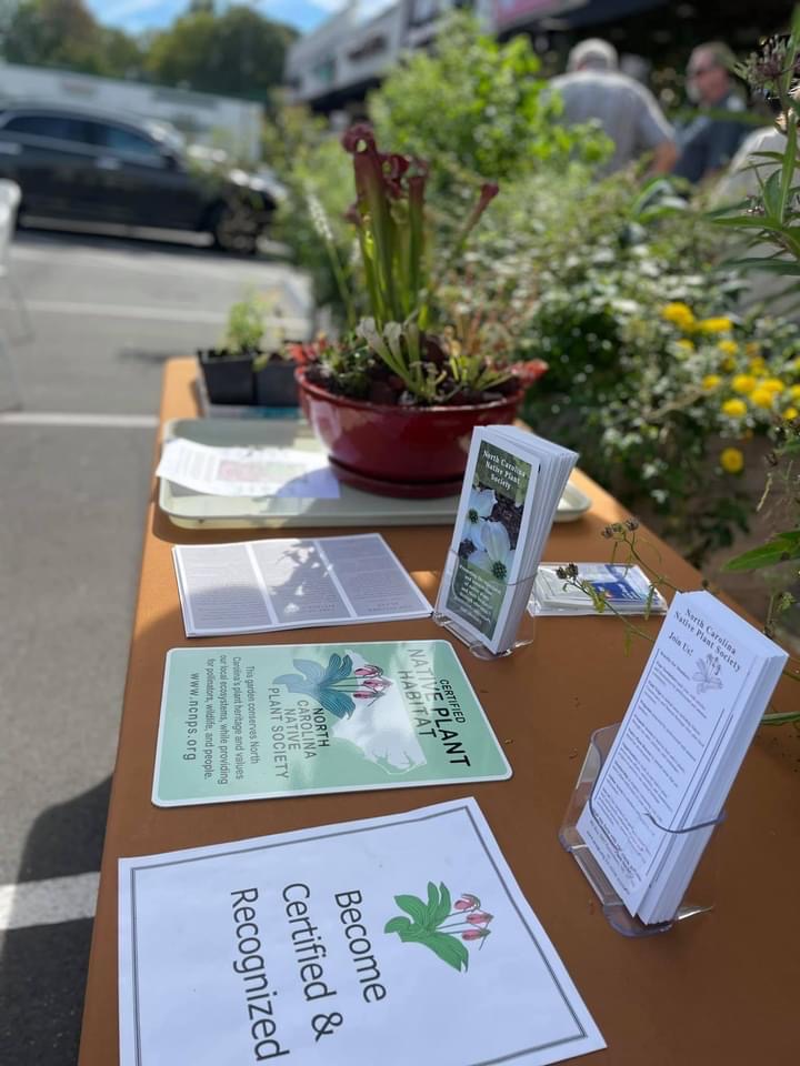 A fun way to learn a lot about native plants! (photo by Robin Davis)