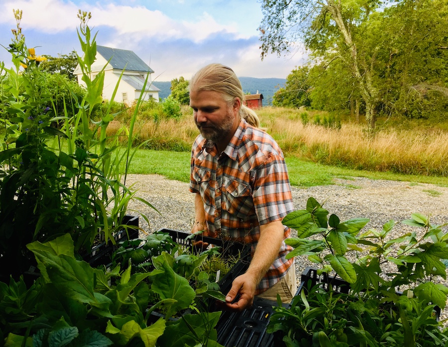 Ian Caton of Wood Thrush Nursery in Floyd, VA