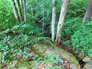 Kolb farm stream with rocks