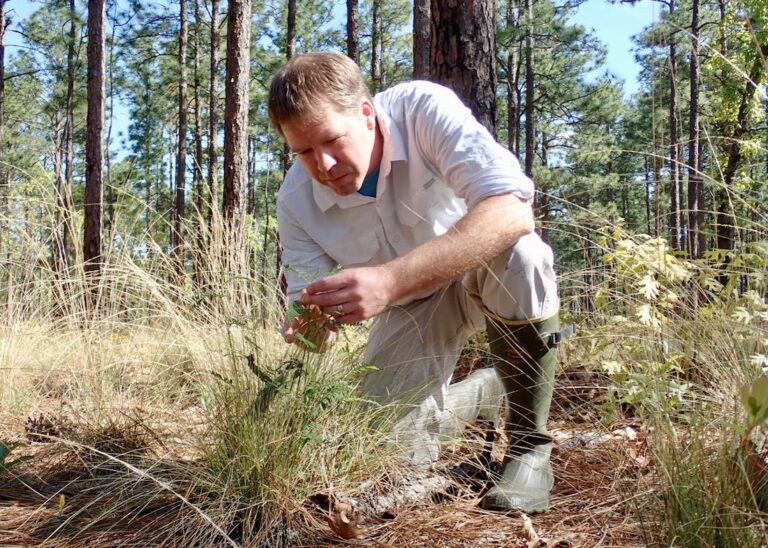 Michael Kunz in the field