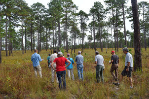 Lighterwood Farm field trip