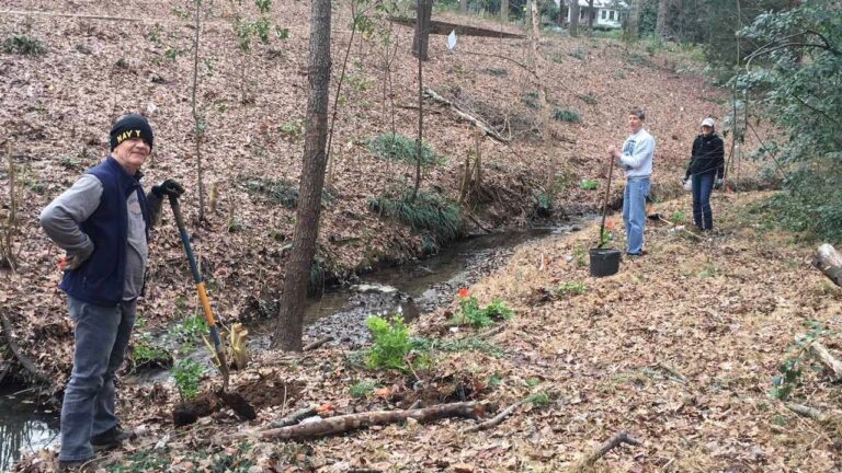 Volunteers planting native plants