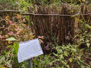 native insect preservation