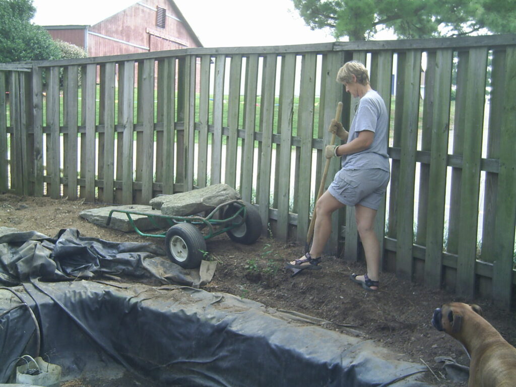 Digging up unwanted liriope