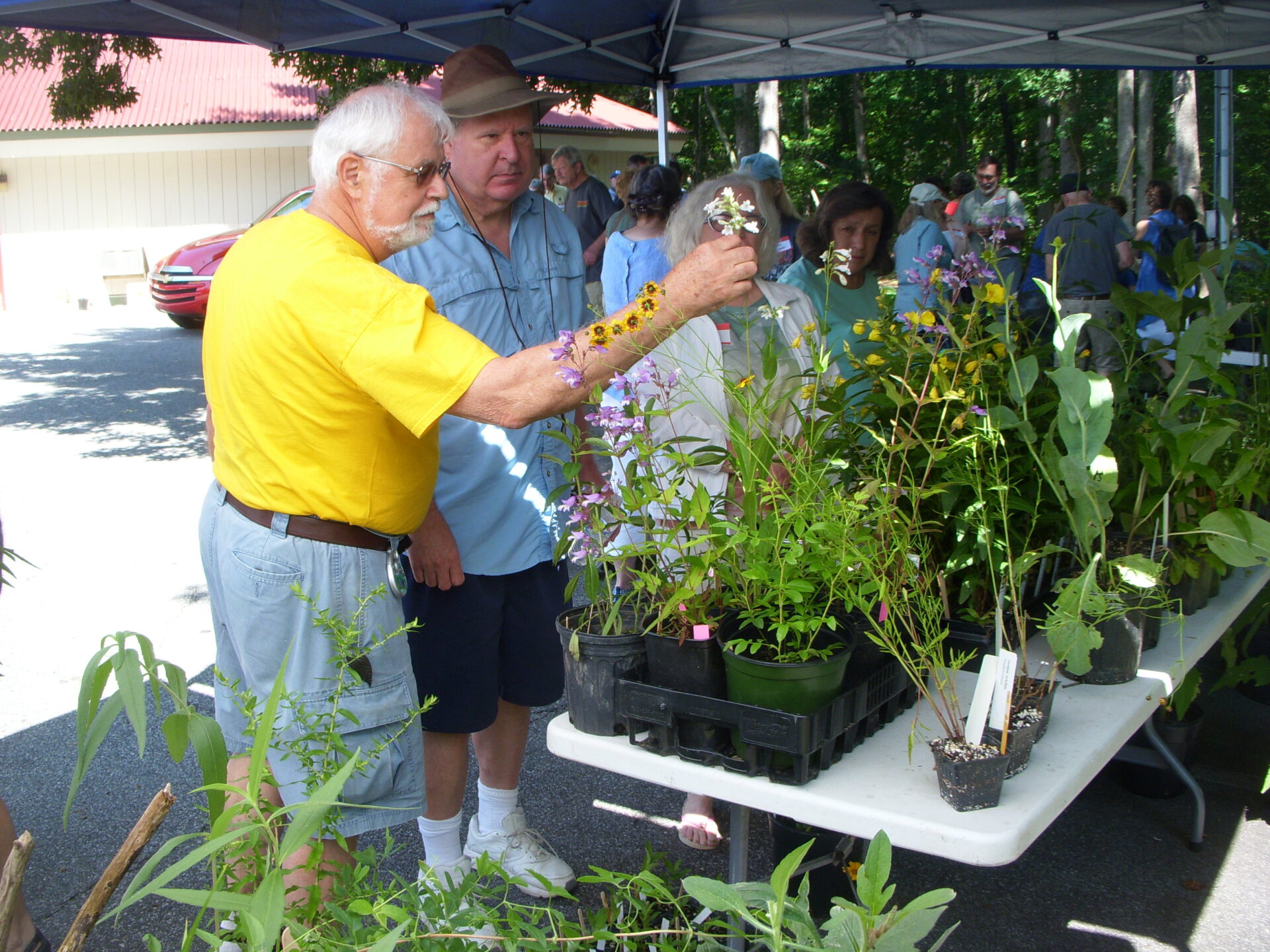Annual Meeting, Picnic, Auction