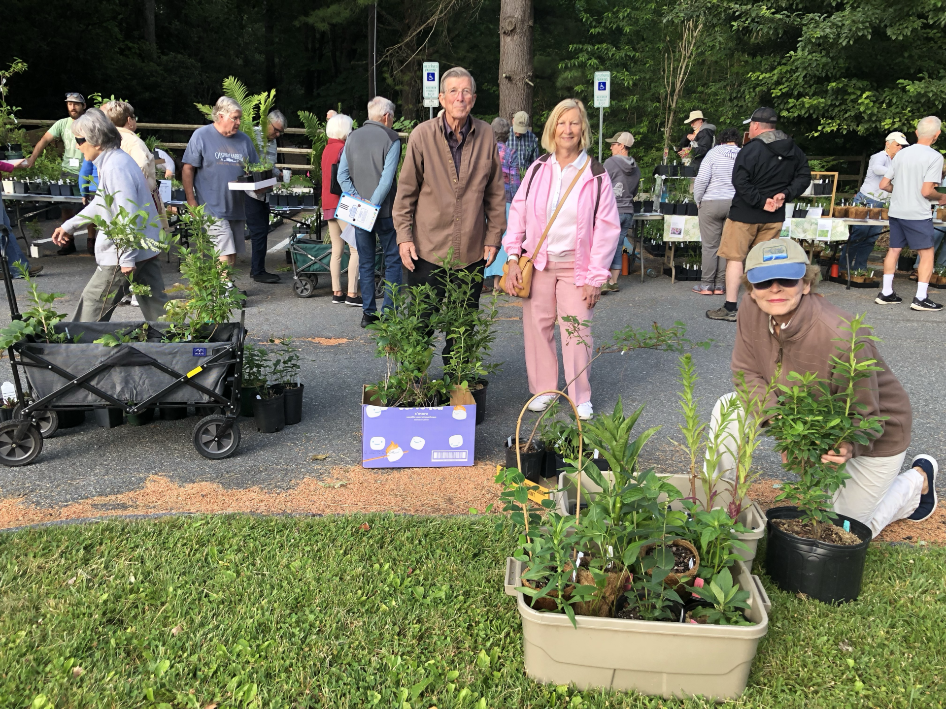 Native Plant Sale