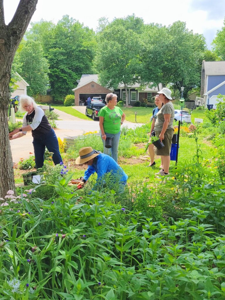 We make a difference as members of the North Carolina Native Plant Society. Photo by Cabot Thunem