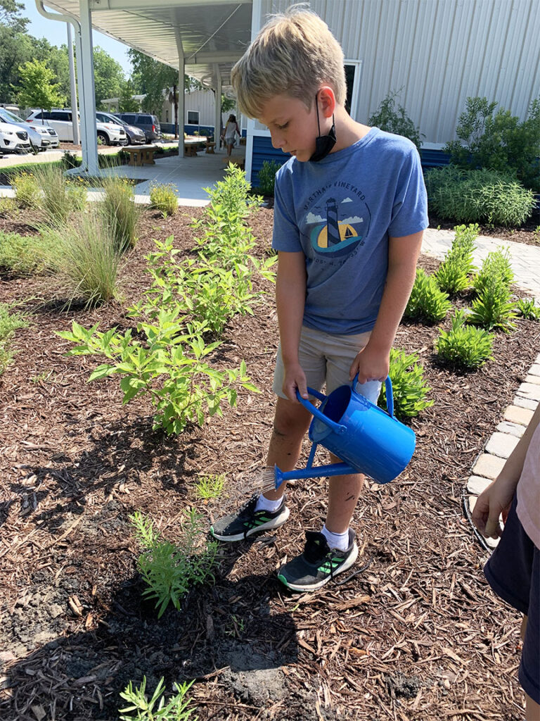 Little boy watering a garden