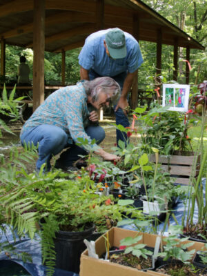 Plant sale at 2021 picnic