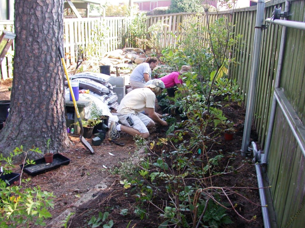 planting new Fair garden