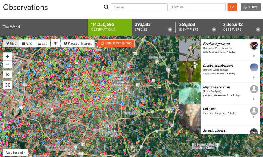 Screenshot of taxa documented in the Triad area on iNaturalist.