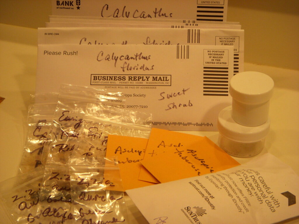 Seed containers (photo by Lynda Waldrep)