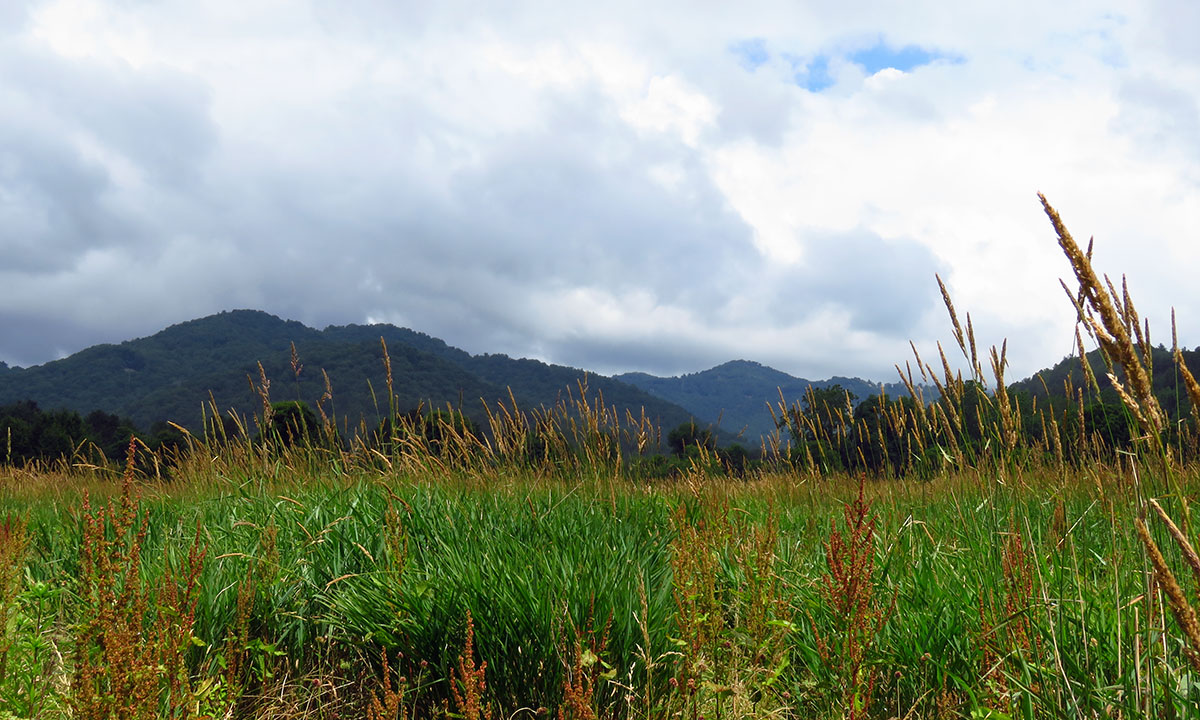 Meadow at Valle Crucis Park