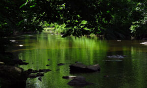 Watauga River at Valle Crucis Park
