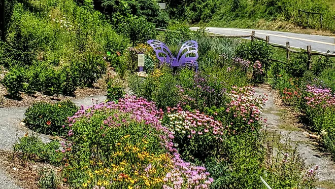 Marshall Library Native Plant Gardens