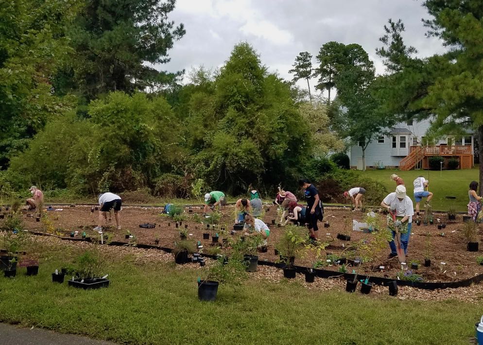 volunteer planting day