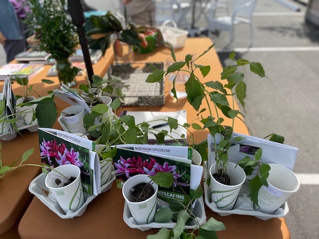 Native plants and information shared with attendees at the Native Plant Fest at Maxie B's in 2021 (photo by Robin Davis)