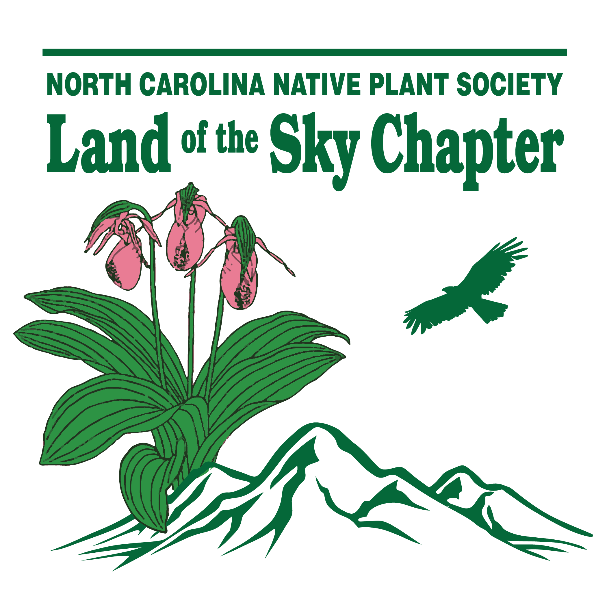Land of the Sky Logo Square