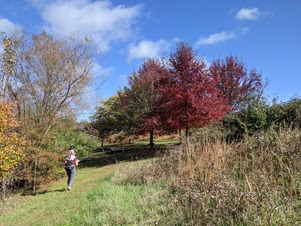 Prairie Ridge Ecostation