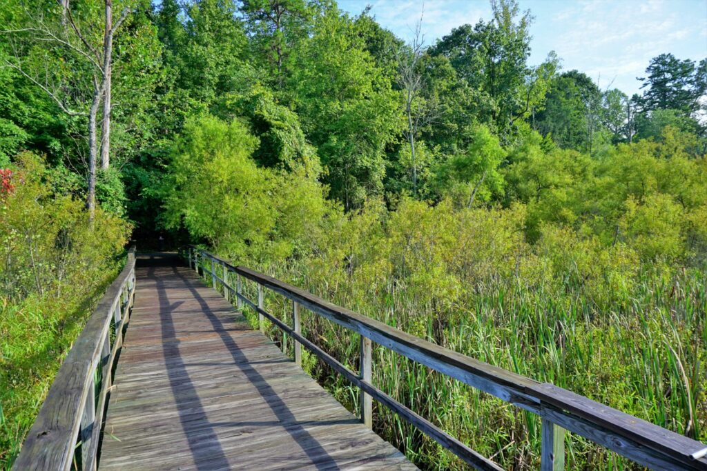 Bicentennial Greenway Gibson