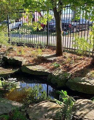 NC State Fair Garden