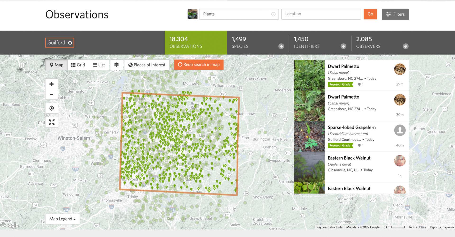 Guilford County observations in iNaturalist (photo by Ann Walter-Fromson)