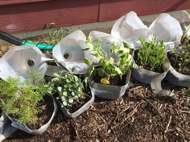 winter sowing workshop in Durham